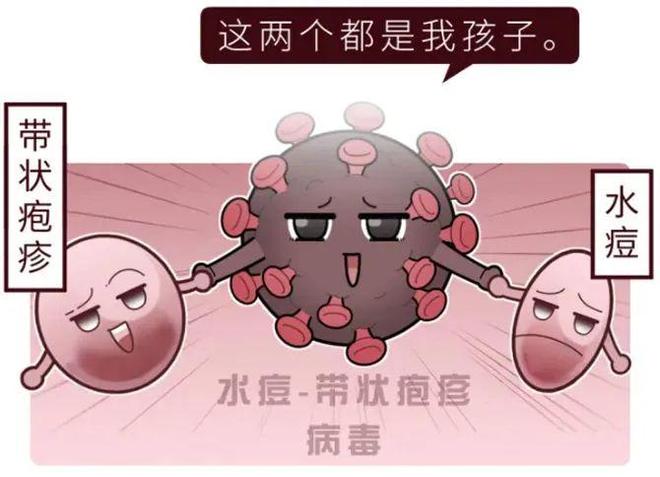 湖南1岁男孩被强搂亲吻确诊水痘，衡阳疾控中心回应