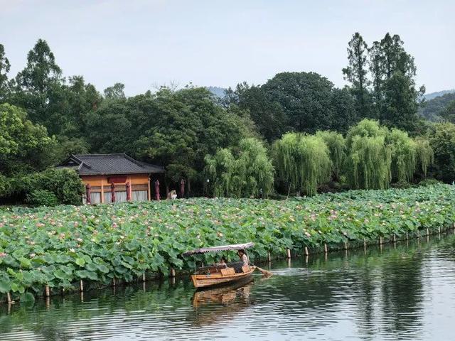 “一瞬间，全部湿透！”刚刚，杭州双黄预警