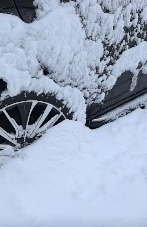 7月大雪纷飞！青海祁连大草原一夜白雪皑皑，南方“烤土豆”直呼：想把太阳一脚踢给你