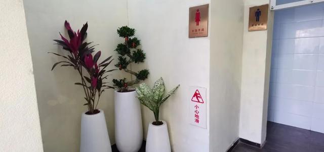 安阳城市管理局：聚力畅行安阳 服务文旅发展