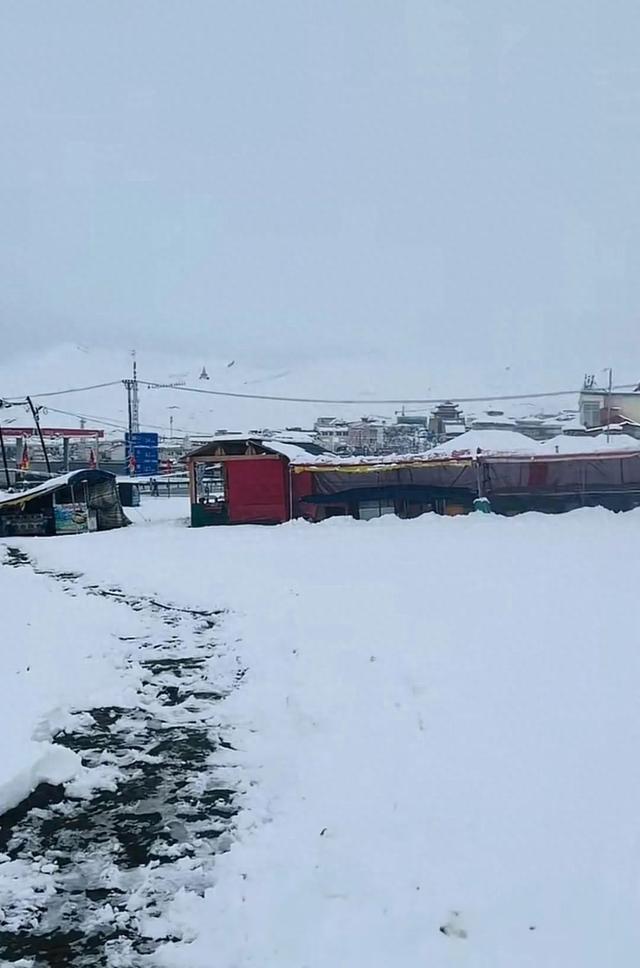 别人露腰，青海裹貂？当地气象局：确实下雪了，仅限海拔高区域