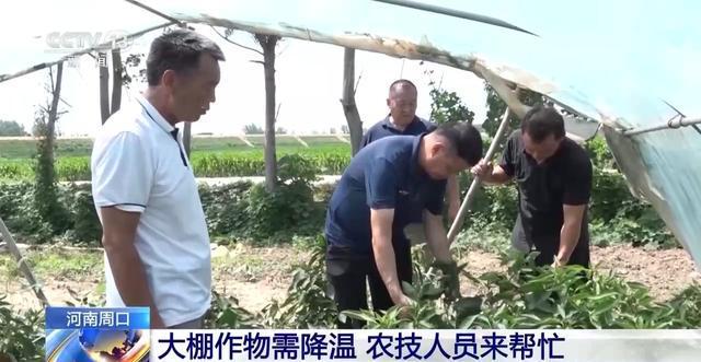 河南启动重大气象灾害高温四级应急响应