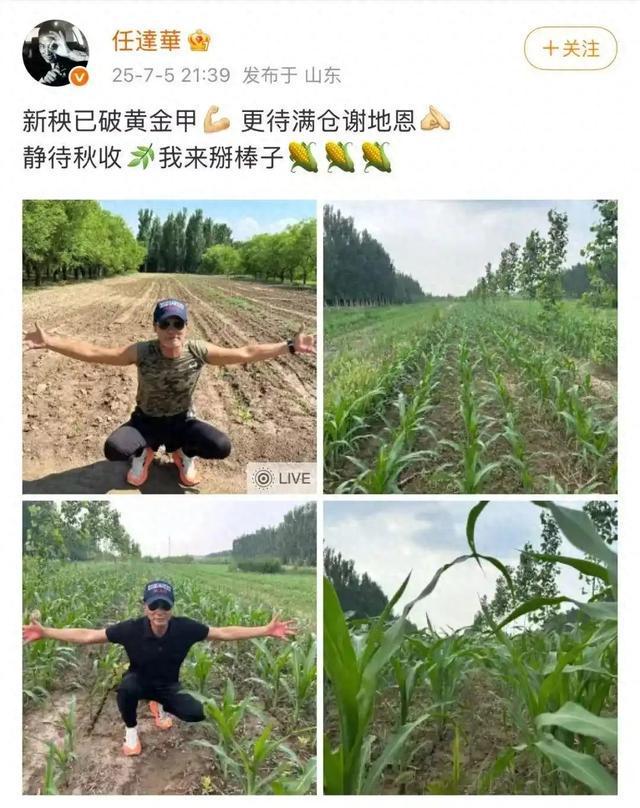 任达华在山东老家种玉米被疑摆拍， 真相可能没那么复杂