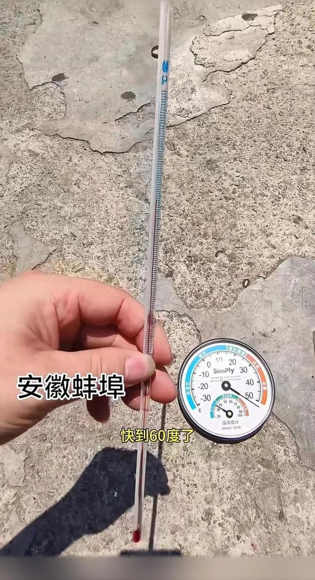 预报39℃街头实测50℃，咋回事？
