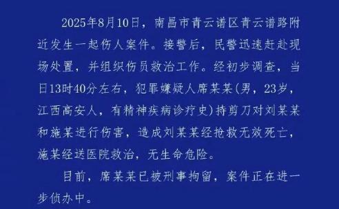 南昌血案，精神病患者犯罪如何精准量刑？丨中听