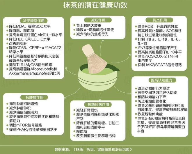 喝茶还是喝咖啡？提神持久战，研究发现：这个更好
