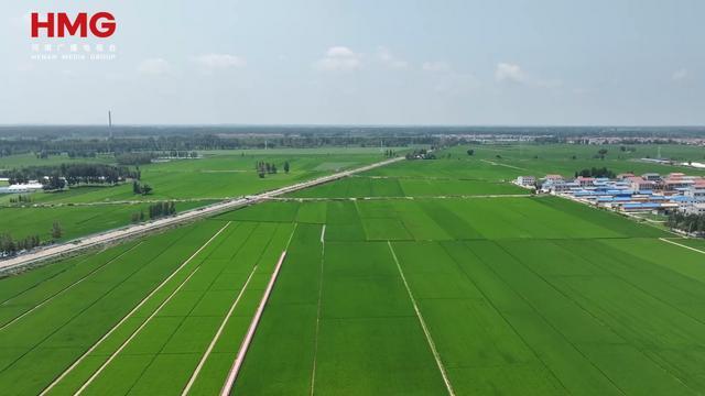 不漏一亩！新乡原阳县无人机飞防全覆盖