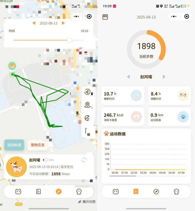精打细算的年轻人，却愿意花大钱让宠物过上“智能生活”