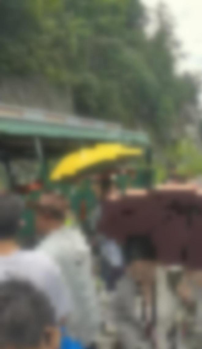 广西一景区火车脱轨，游客步行至终点？小火车公司回应：停车系道闸有轻微变形