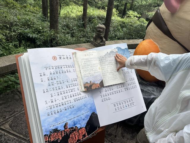 带娃见世面，不只是在朋友圈打卡！听听这3位家长怎么说……