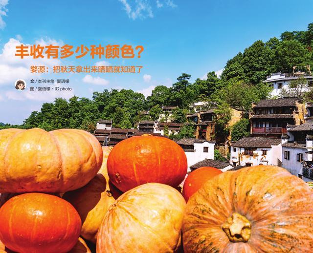 带娃见世面，不只是在朋友圈打卡！听听这3位家长怎么说……