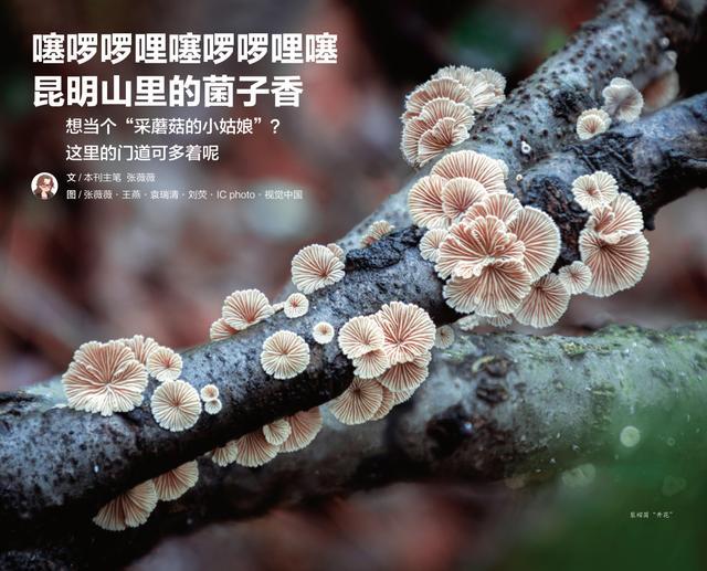 带娃见世面，不只是在朋友圈打卡！听听这3位家长怎么说……