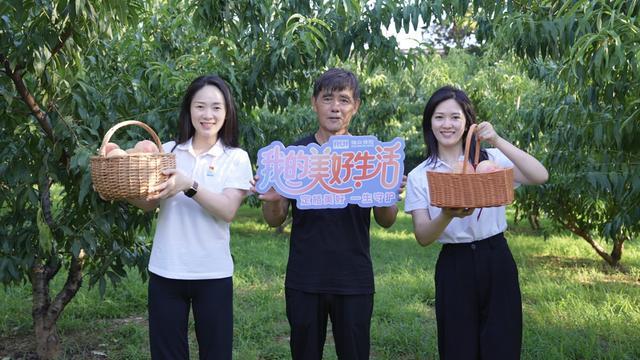 “桃香传爱 共享甜蜜”行动织就“党建+金融+公益”守护网