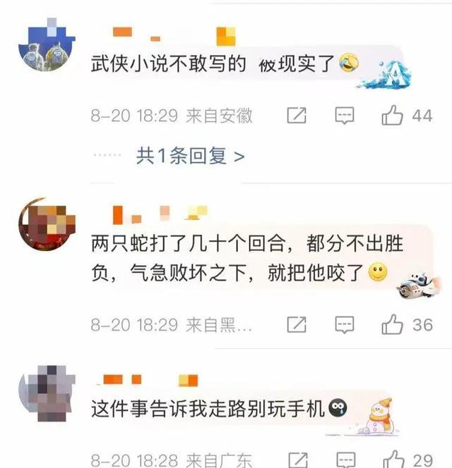 一男子踩到打架的竹叶青和五步蛇，被俩毒蛇咬3口，还对抗毒血清过敏…