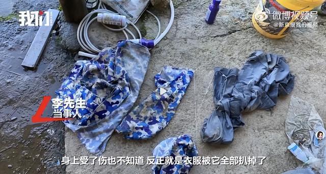 湖北鹤峰通报“一村民干活时称遭大型猫科动物袭击”：目前未发现大型猫科动物（含老虎）相关活动痕迹
