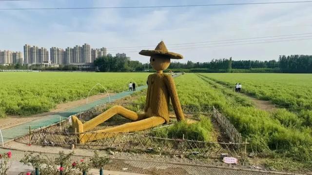 看焦作群星演唱会，享A级景区宠粉大礼包