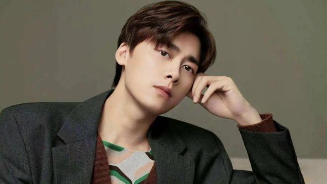 律师谈演员李易峰被强执4990万元：限高是必然，受独资企业牵连，个人财产将被执行