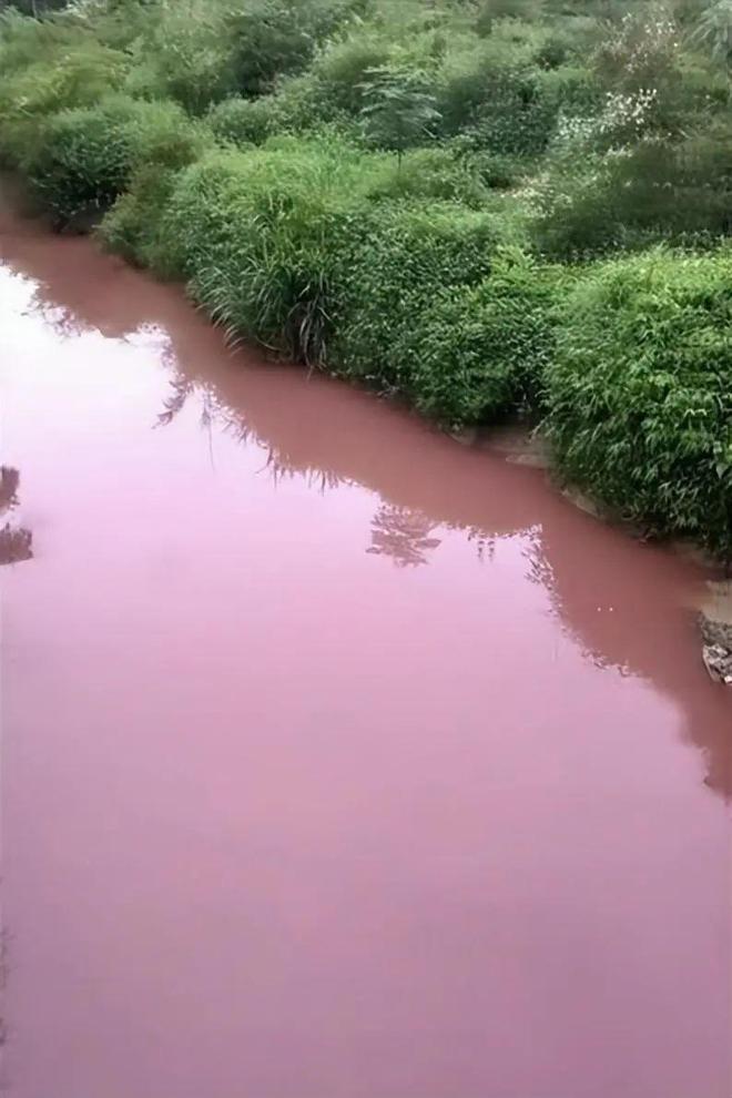 广东肇庆回应“河道水域变粉红色”：上游鱼塘消毒液倾泻导致，现水已变清，水质检测指标正常