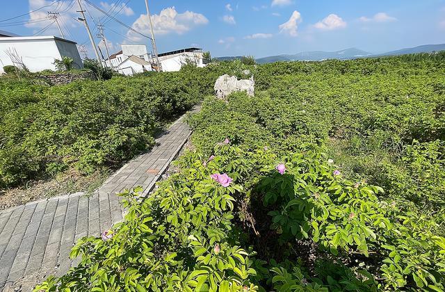 区势｜尖谷堆北村“变形记”：民宿“挂”崖引路，山村焕彩再出发