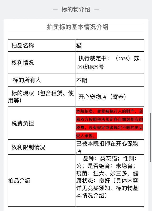 法拍狸花猫被撤销拍卖，已有6528人报名，工作人员：参与竞拍的保证金将原路返还
