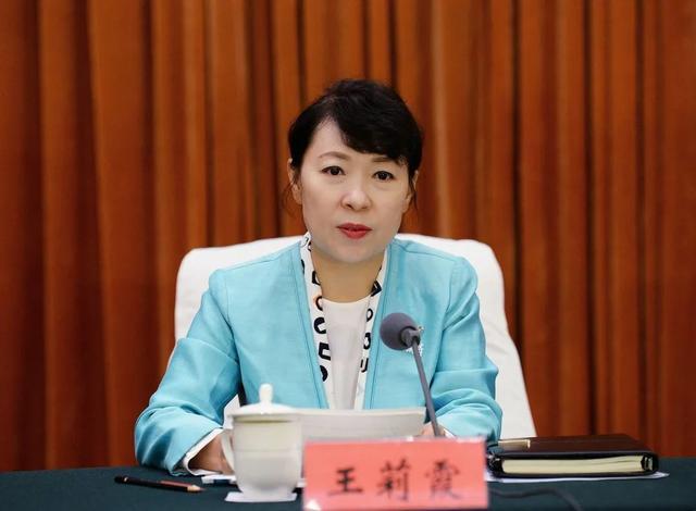 打虎！内蒙古自治区政府主席王莉霞，被查