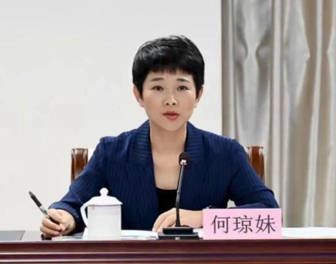 海南一女厅长任上被查！当过市委书记，曾在椰树集团挂职锻炼
