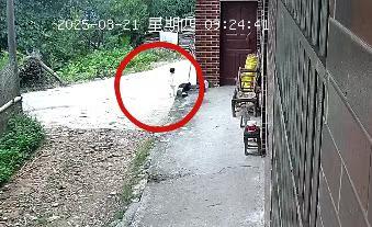 “孩子生命体征平稳！”湖南新韶突然失踪的2岁女童找到了