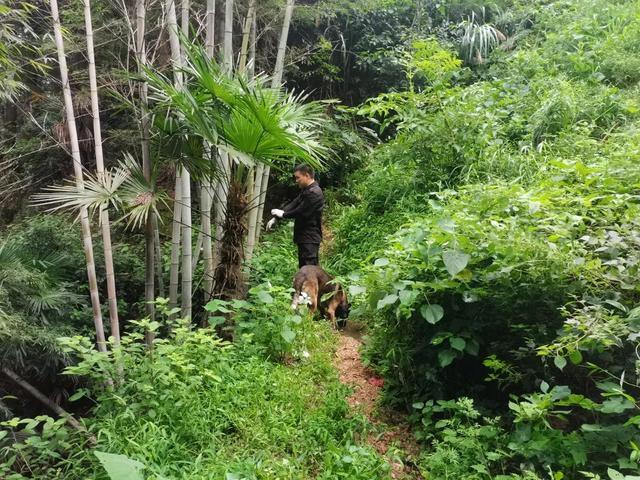 “孩子生命体征平稳！”湖南新韶突然失踪的2岁女童找到了