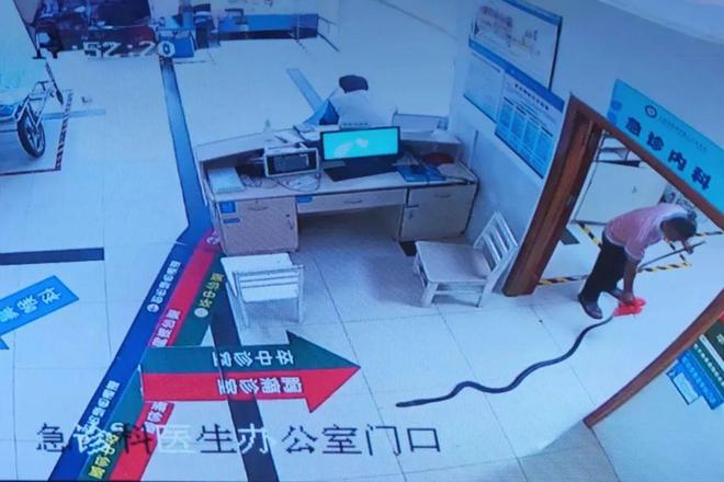 云南一老人被眼镜王蛇咬伤，家属拖着两米多长的“凶手”冲进了医院