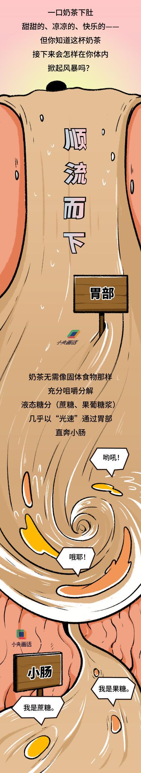 一杯奶茶喝下肚会发生什么，十杯呢？