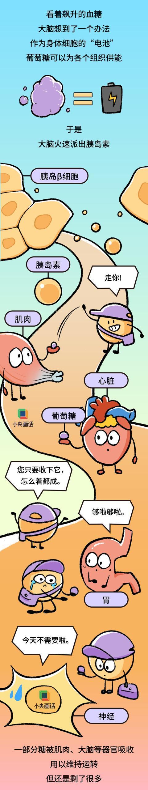 一杯奶茶喝下肚会发生什么，十杯呢？