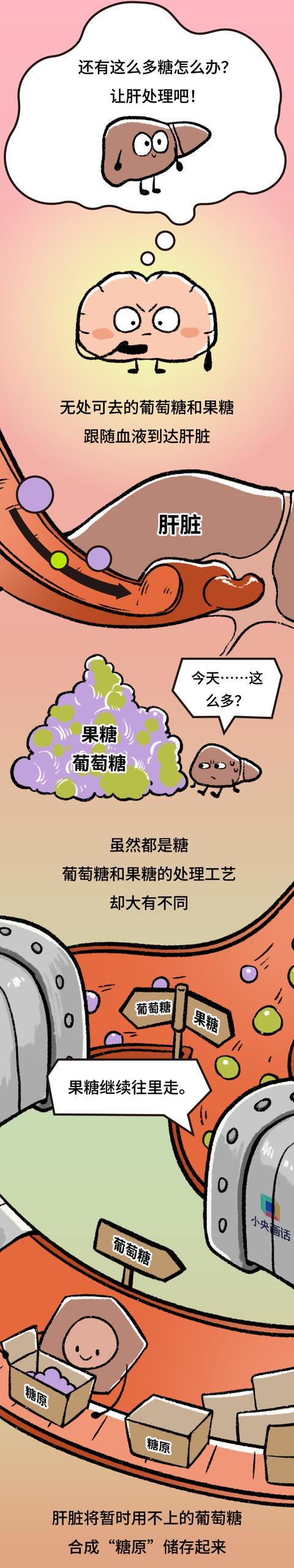 一杯奶茶喝下肚会发生什么，十杯呢？