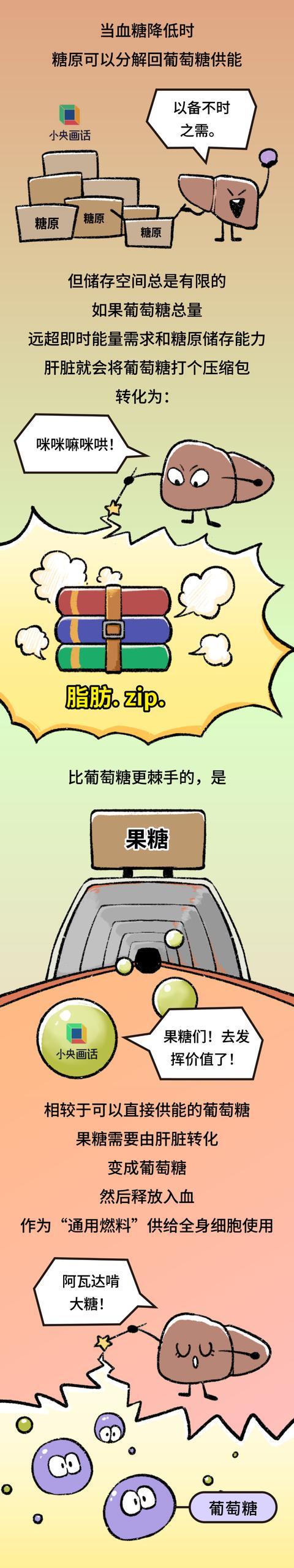 一杯奶茶喝下肚会发生什么，十杯呢？