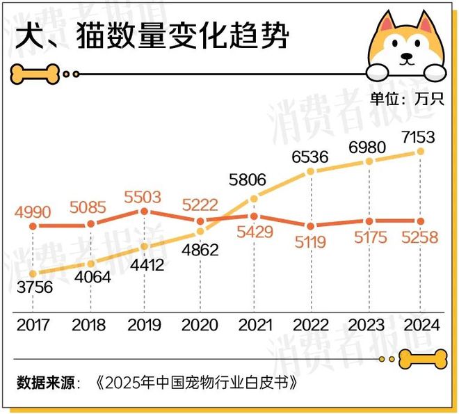 2025宠物经济洞察报告：1.24亿只宠物重构3000亿“人宠共生”新市场
