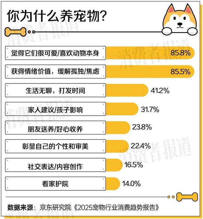 2025宠物经济洞察报告：1.24亿只宠物重构3000亿“人宠共生”新市场