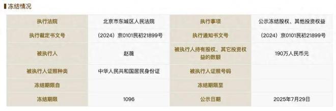 赵薇所持1590万元股权再被冻结
