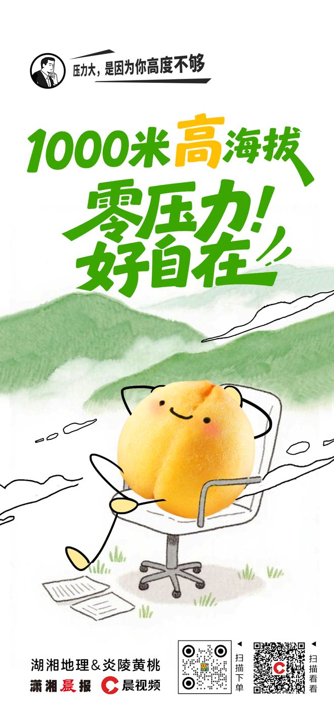 工位好搭子，职场人的嘴替，性感美丽的炎陵黄桃“上工”啦~~