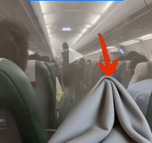 故意调低温卖毛毯？春秋航空声明！去年盈利22.7亿元，是“国内最赚钱航司”