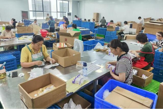 南阳宛城区：“小艾草”托起“大民生” 走出乡村振兴特色路