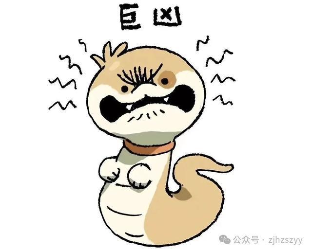 男子遇五步蛇想抓来玩 被喷一脸毒：引起化学性眼损伤