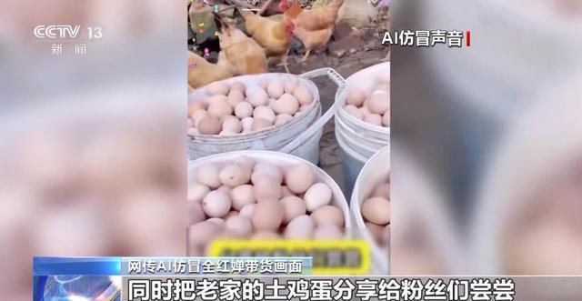 全红婵哥哥回应“妹妹被AI仿冒卖土鸡蛋”：告都告不过来