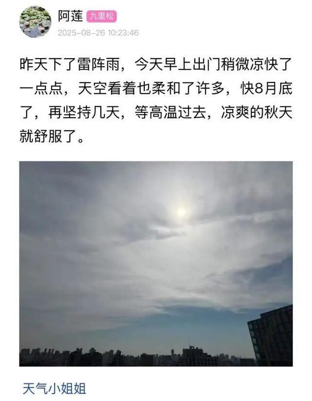今天破纪录，明天刷新纪录……杭州满满的热能量