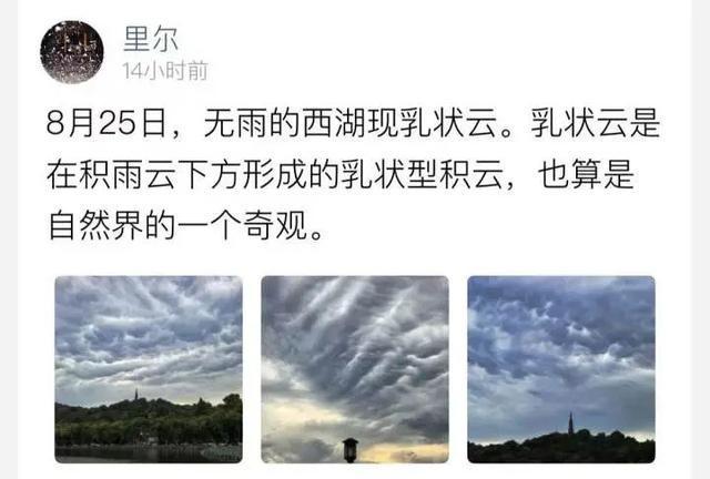 今天破纪录，明天刷新纪录……杭州满满的热能量