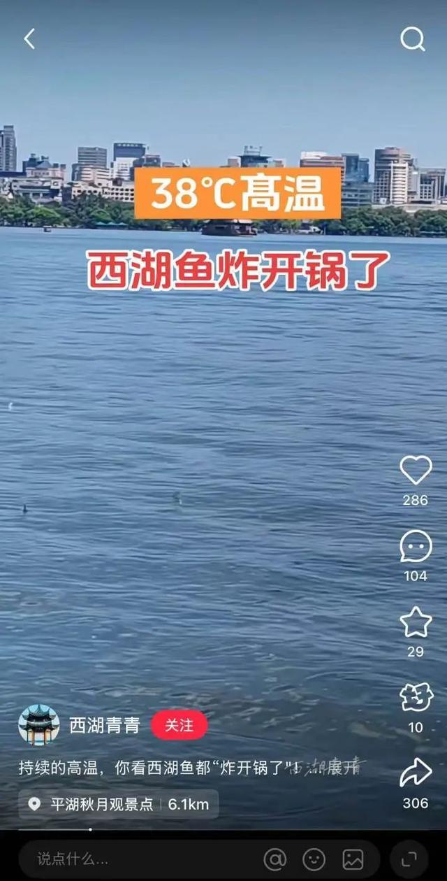 今天破纪录，明天刷新纪录……杭州满满的热能量