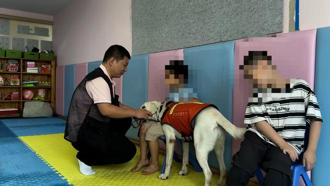 长沙孤独症服务犬“糖糖”首次上岗，情绪超稳定！“星星的孩子”说：我喜欢它的尾巴
