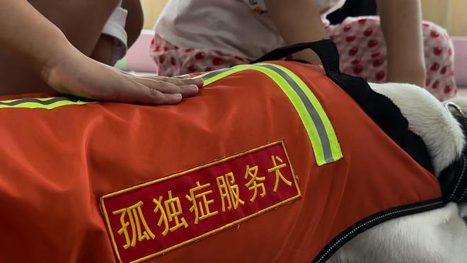 长沙孤独症服务犬“糖糖”首次上岗，情绪超稳定！“星星的孩子”说：我喜欢它的尾巴