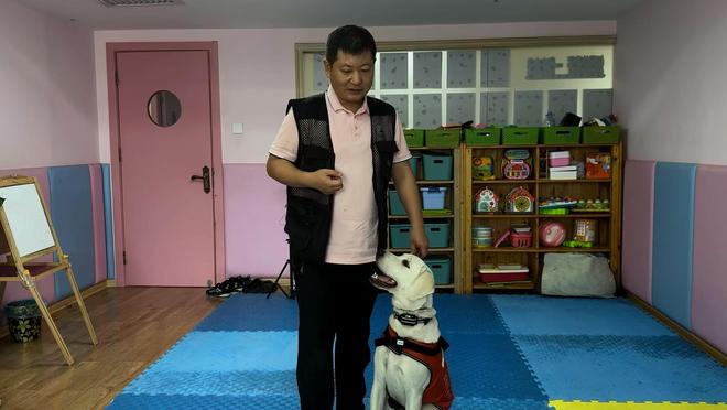 长沙孤独症服务犬“糖糖”首次上岗，情绪超稳定！“星星的孩子”说：我喜欢它的尾巴