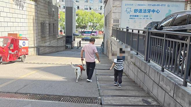 长沙孤独症服务犬“糖糖”首次上岗，情绪超稳定！“星星的孩子”说：我喜欢它的尾巴