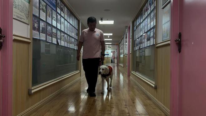长沙孤独症服务犬“糖糖”首次上岗，情绪超稳定！“星星的孩子”说：我喜欢它的尾巴