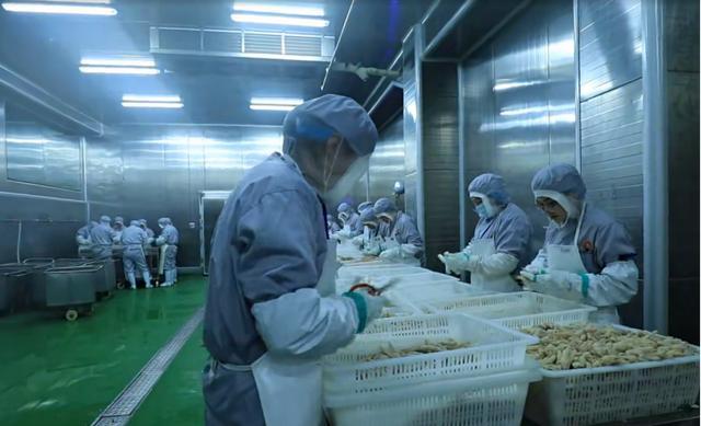 河南筑牢冷链食品安全防线 智慧监管守护百姓餐桌